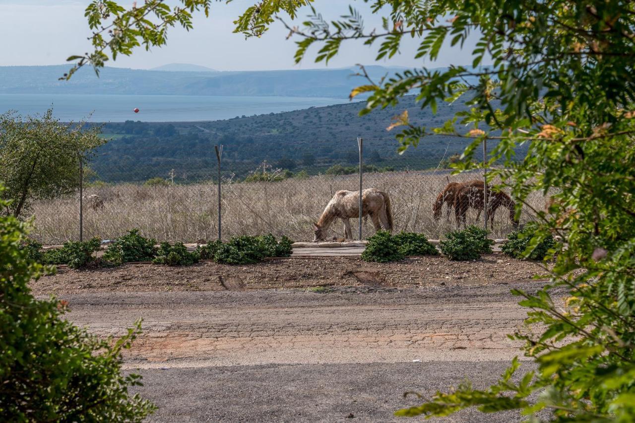Nof Kinneret Cabins Had Nes Esterno foto